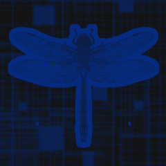 Thun Plaja (Dub Instrumental)