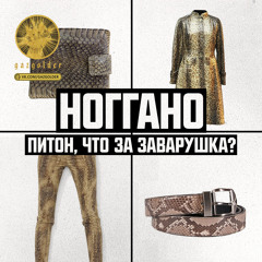 Ноггано - Питон, что за заварушка?
