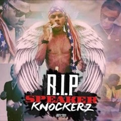 Ace Swag Speaker Knocker Type Why They Hate