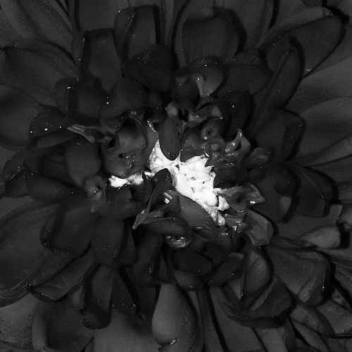 Danski - Overton (yehezkel raz remix)