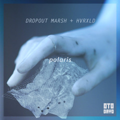 Dropout Marsh ✖ HVRXLD - Polaris