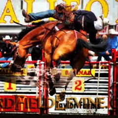 When You're Ridin Your Dreams