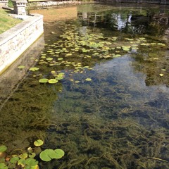 Living Dust for 12 Musicians (2015)