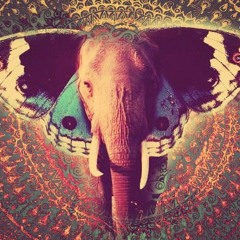 Elephants Dreamin Awake