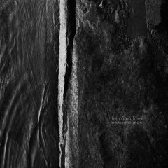 The Coma Lilies - Penis Envy