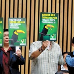 Canción con la que el Partido Verde Ecologista de México se promociona en Nuevo León.