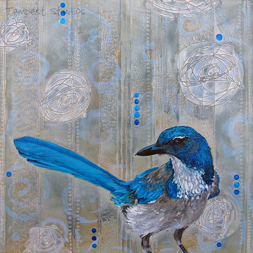 vol stationaire  - Pepe l'oazo