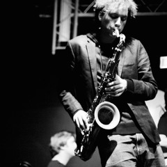 Solo Excerpt - "Happy Birthday Cat" by Johan Plomp