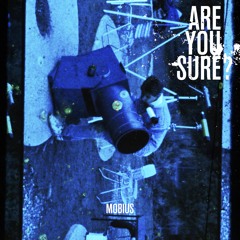 Are You Sure? (Feat. Kaze)