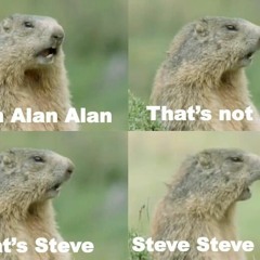 Alan that`s not Steve