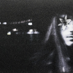 lily (love is a song that never ends)