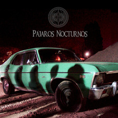 07-Pajaros Nocturnos   Mejor no hablar de ciertas cosas