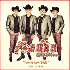 Jodido Nunca - Los Pochos Del Norte