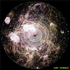 Mr. Weed - Groove Par1