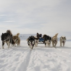 Snowscapes Nº5: Sledge and apparition.