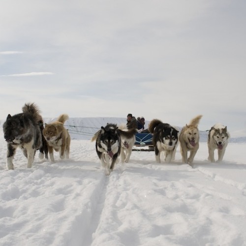 Snowscapes Nº5: Sledge and apparition.