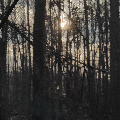 drip-133 - only breathing once today