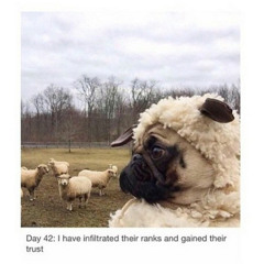 No Holding Back -AK Krytycal ft DiVerseity (DiVerseity's verse by J-Skillz prod)(Beat by YesBeats)