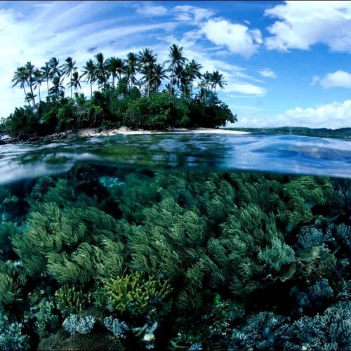 The Future Sound Of London - Papua New Guinea (High Contrast Mix)