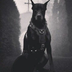 smoking ace