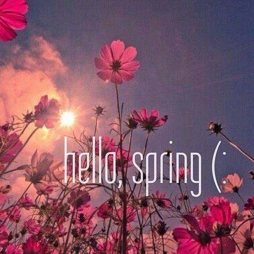 More Than Deep 2 - Hello Spring 2015