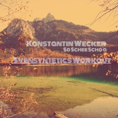 Konstantin Wecker - So Schee Scho A (Svensyntetics Workout)