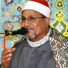 تلاوة رائعة للشيخ محمد عبدالوهاب الطنطاوي - سورة الرعد