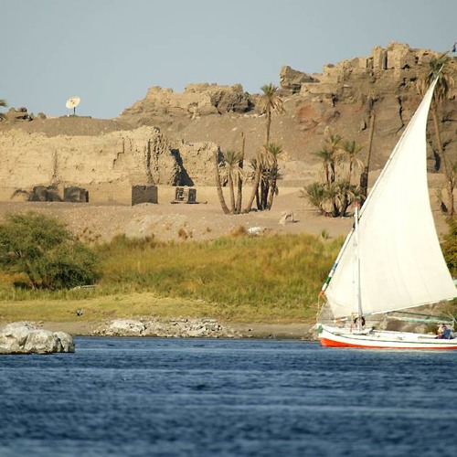 الريس حفنى احمد حسن - مصر بلدنا