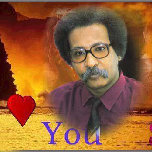 مصطفى سيد احمد شايل الالفه