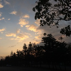 I Really Like You - Carly Rae Jepsen