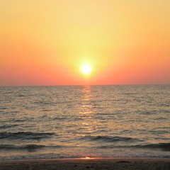 Yodelling Sheep's SUMMER Chill Mix