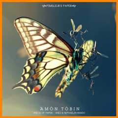 Amon Tobin│Pimsleur's Paper (Andi & Nephaelin Remix)