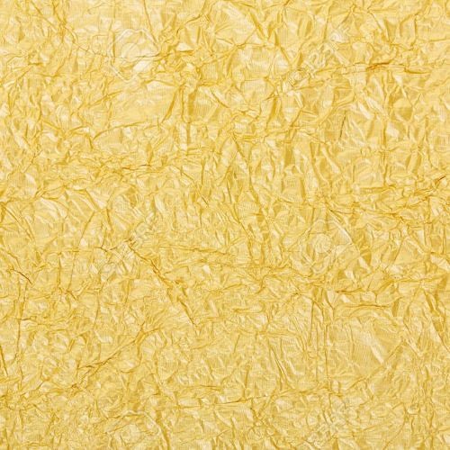 Gold Front - Jumanji