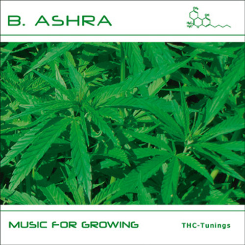 KW010 B Ashra - Music For Growing - Potento