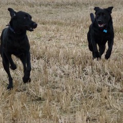 Moverse (beat Nenaitee)