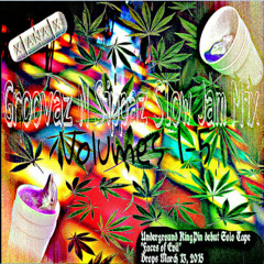 *Groovaz N Sippaz Slow Jam Mix Vol.5*