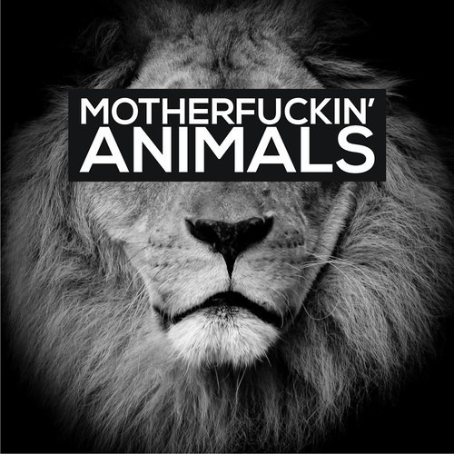 Martin Garrix VS Bingo Players - Animals Devotion (Matteo Calandrini Mashup) [FREE DOWNLOAD]