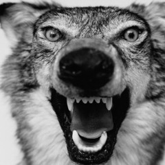 Yelawolf - Heartbreak (TayHamstrumental)