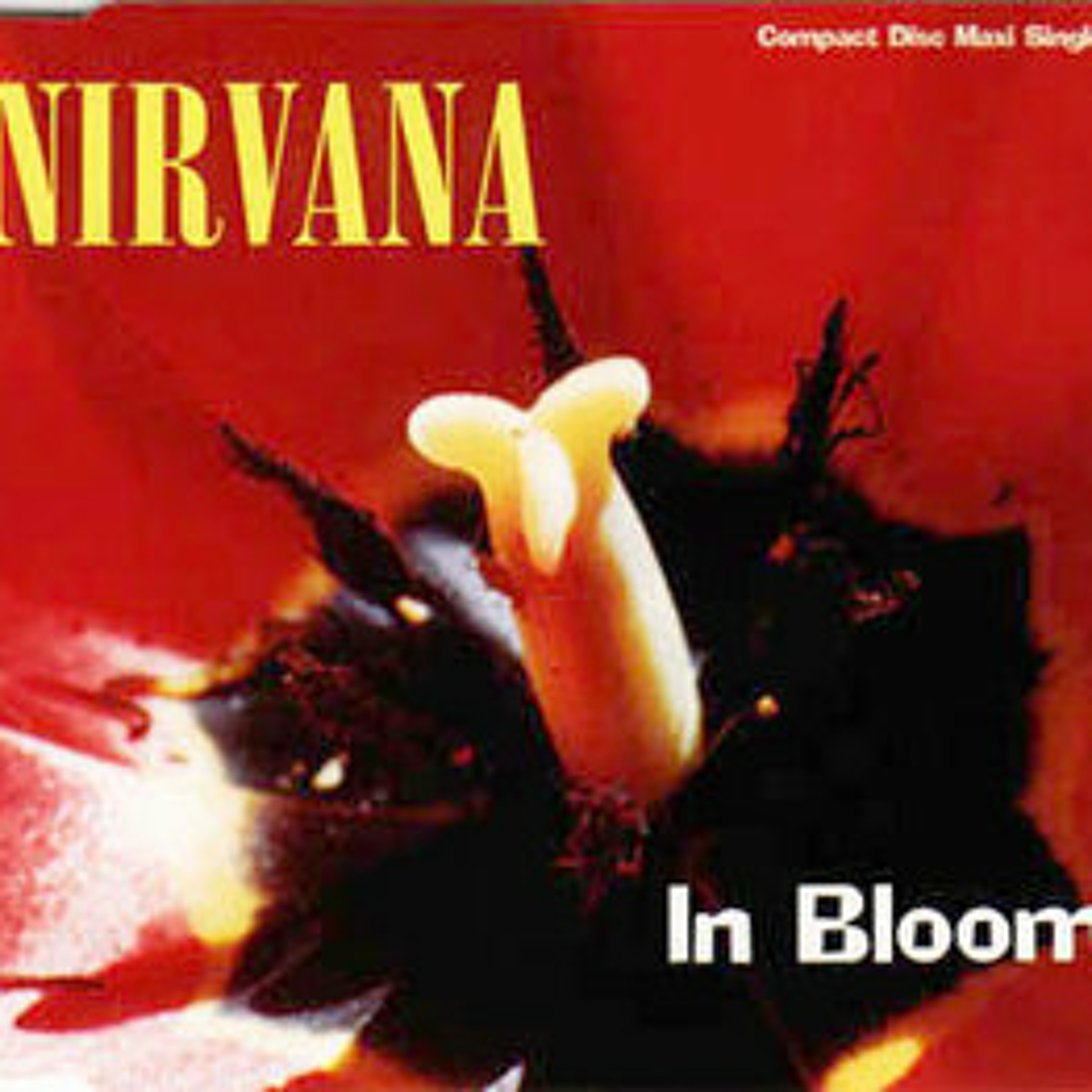 IN BLOOM 19 (2011) episode artwork