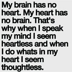 Love Lost Shaddy D x King Booter