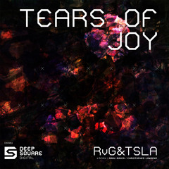 RvG & Tsla - Tears Of Joy (Radu Mirica Remix) Preview