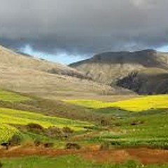 EK BLY NOU OP DIE RUENS - 'n gedig deur Fred Boshoff