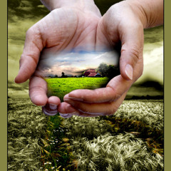 Paradies - Full - AlbumTrack