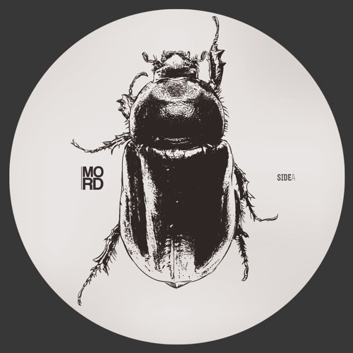 D.Carbone - Irritating Collapse