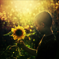 Summer Confession (with spOILer)