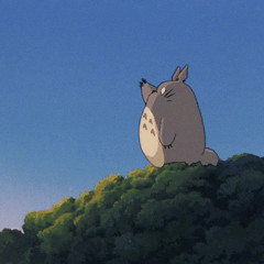 바람이 지나가는 길