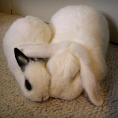 Slow - Jam - Uno2.mp3