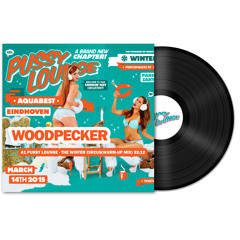 Pussy Lounge The Winter Circus 2015 |  warm-up by Woodpecker