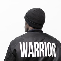 Demi Lovato - Warrior (Royalsteel Remix)