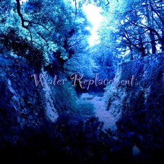 森の水あび - Forest Shower -